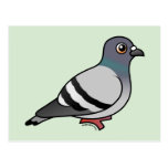 Cute Rock Pigeon Post Cards