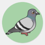 Cute Rock Pigeon Stickers