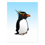Cute Rockhopper Penguin Postcards