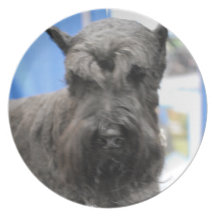 Cute Schnauzer Plate