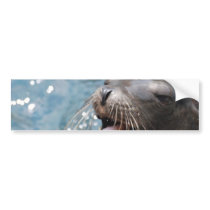 Cute Sea Lion  Bumper Stickers