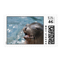 Cute Sea Lion  Postage Stamp