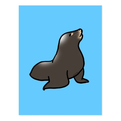 Cute sea lion postcard