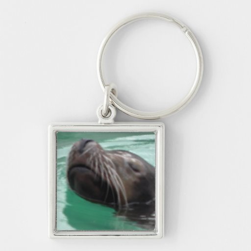 Cute Sea Lion Swimming Key Chain