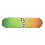 Cute Seagull Design Skateboards