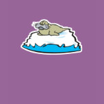 cute seal on iceberg
