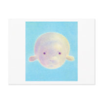Cute Seal Post Cards