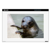 Cute Seal Pup 15" Laptop Skins
