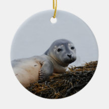Cute Seal Pup Christmas Tree Ornaments