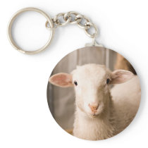 Cute Sheep Key Chain