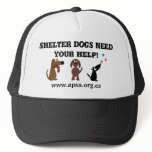 Cute Shelter Dogs Need Your Help Charity hats