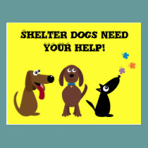 Cute Shelter Dogs Need Your Help Charity postcards