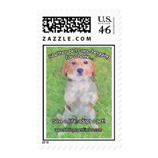 Cute Shelter Pets Begging for a home design stamp