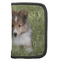 Cute Shetland Sheepdog puppy lying in grass Organizer