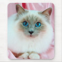 Cute Siamese Cat 1 mousepads by mickeyelvis128 Cute Siamese Cat 1 mousepads