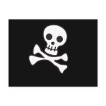 Cute Skull Postcard