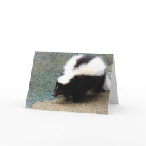 Cute Skunk Greeting Card