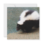 Cute Skunk  Invitations