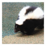 Cute Skunk  Invitations