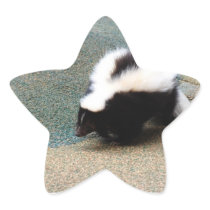 Cute Skunk Stickers