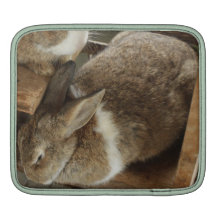 Cute Sleeing Rabbit Sleeves For iPads