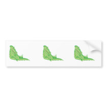 cute sleeping alligator bumper sticker