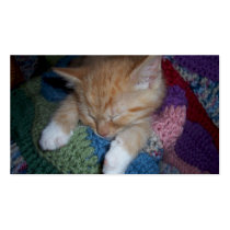 Cute Sleeping Kitten Business Card