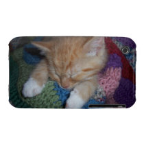 Cute Sleeping Kitten Iphone 3 Case-mate Case