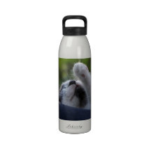 Cute Sleeping Kitten Water Bottles