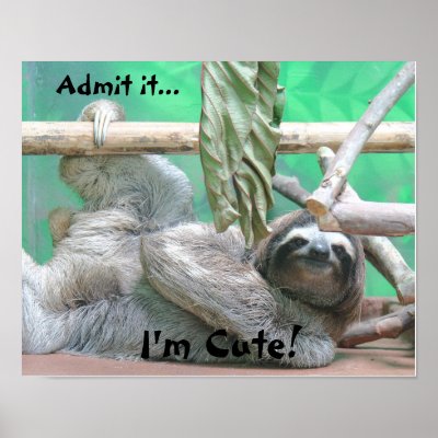 Cute Sloth! Print