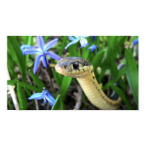 Cute snake posters