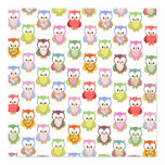 Cute soft colourful owls different chest patterns posters