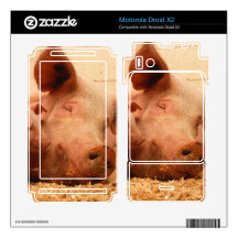 Cute Sow with Piglets Motorola Droid X2 Decals