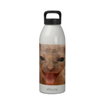 Cute sphynx kitten with tongue out water bottles