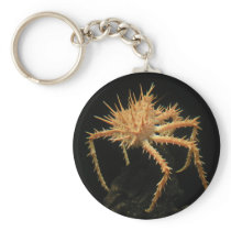 Cute Spiny Crab In The Aquarium At California Key Chain