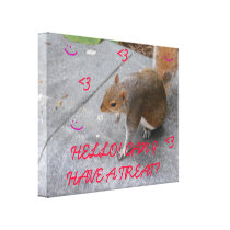 Cute Squirell Canvas Stretched Canvas Prints