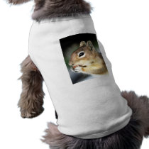 Cute Squirrel Close-Up pet clothing by alternateworlds Cute Squirrel Close-Up pet clothing