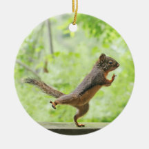 Cute Squirrel Doing Tai Chi Ornaments