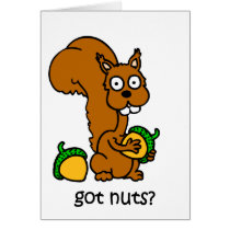 Cute squirrel got nuts cards by funnytshirtsboutique Cute squirrel got nuts cards