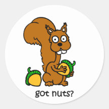 Cute squirrel got nuts round stickers