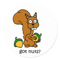 Cute squirrel got nuts stickers