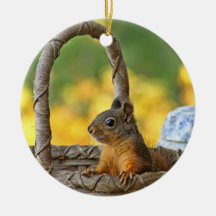 Cute Squirrel in a Basket Christmas Tree Ornaments