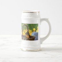 Cute Squirrel in a Basket Coffee Mugs