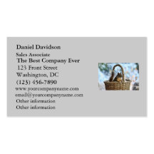 Cute Squirrel in a Basket in Winter Business Card Template