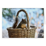 Cute Squirrel in a Basket in Winter Greeting Card