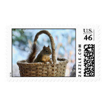 Cute Squirrel in a Basket in Winter Postage Stamps