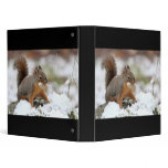 Cute Squirrel in Snow with Peanut binders