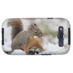 Cute Squirrel in Snow with Peanut Galaxy SIII Covers