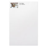 Cute Squirrel in Snow with Peanut Stationery Design