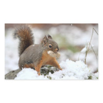 Cute Squirrel in Snow with Peanut Rectangle Stickers